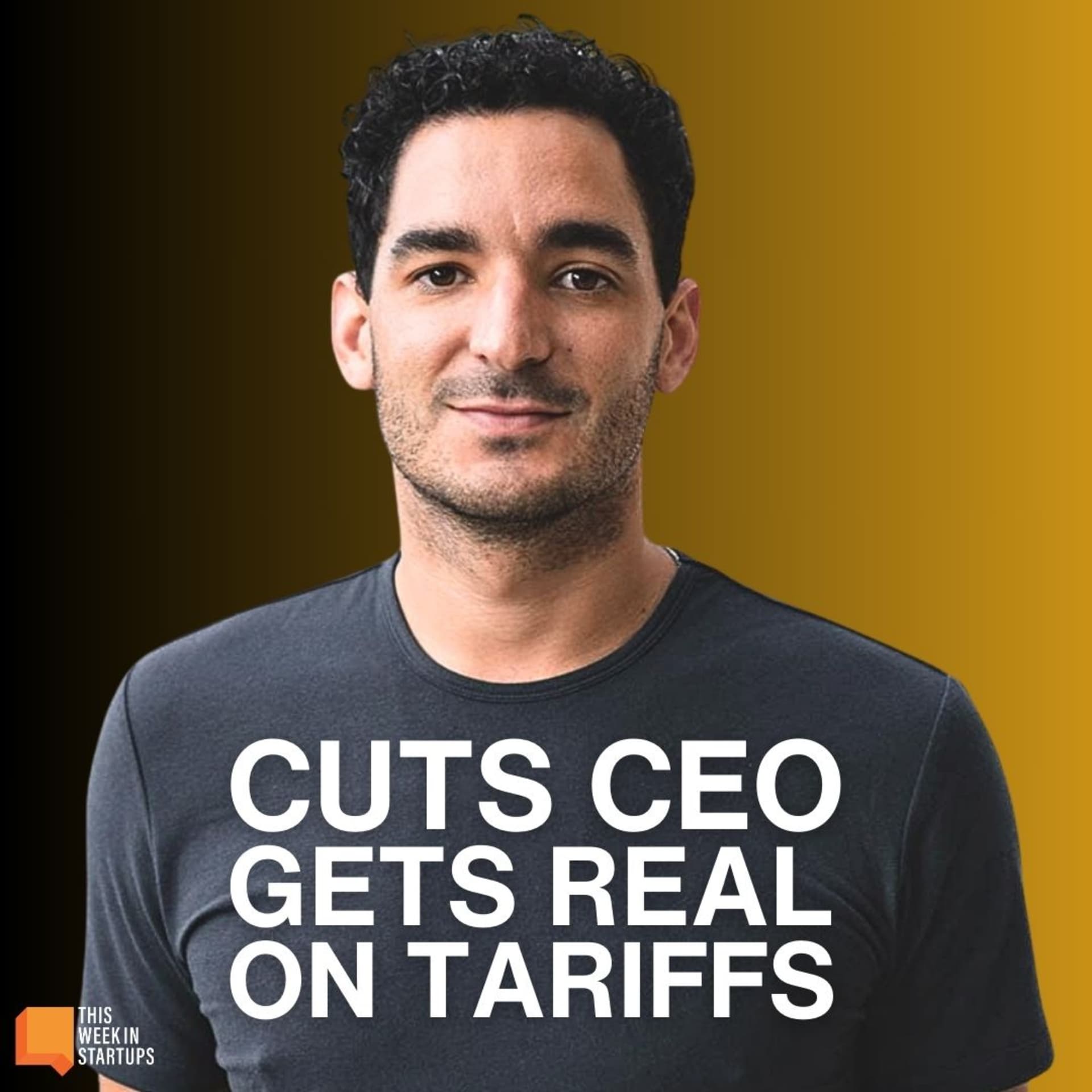 This Week in Startups cover art