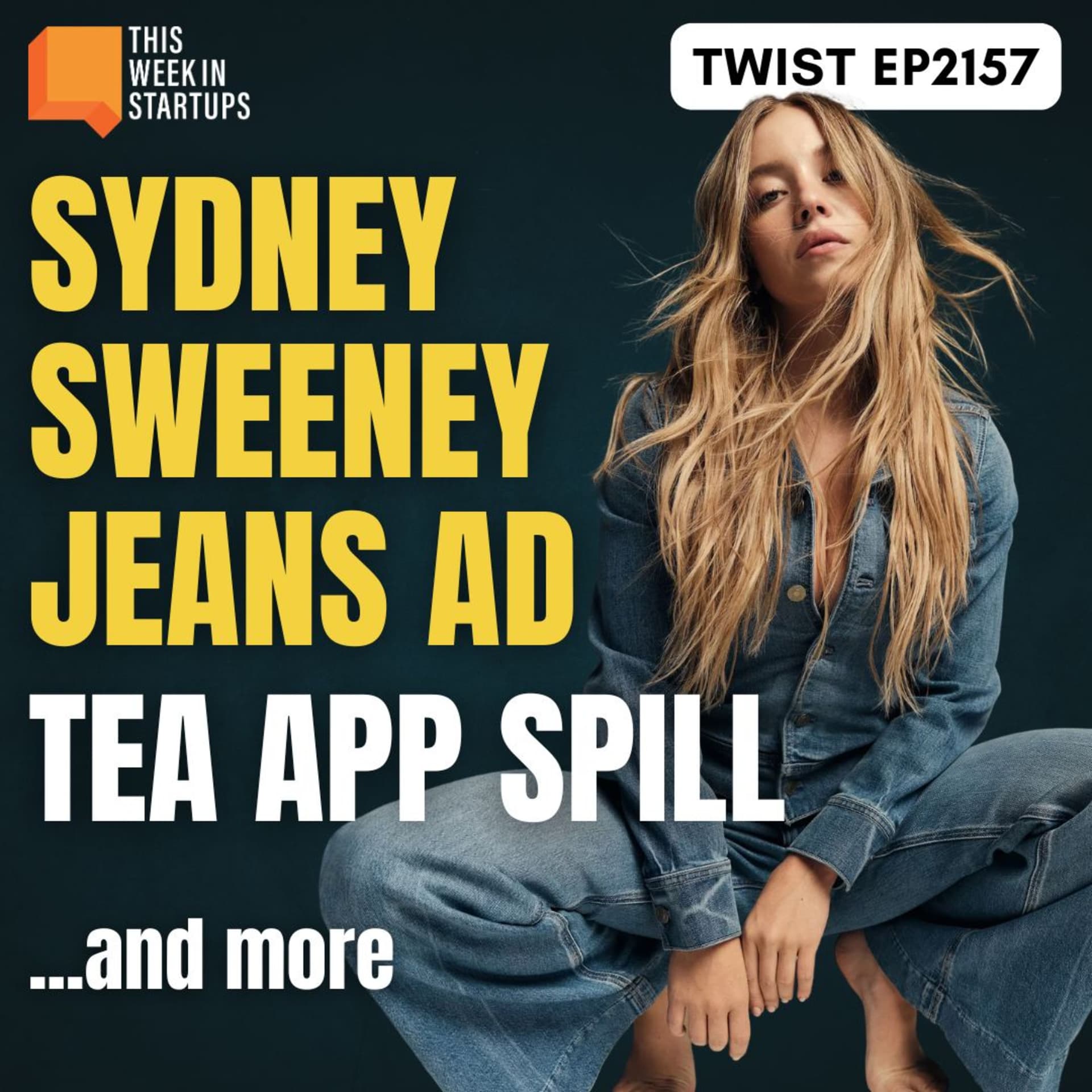 This Week in Startups cover art