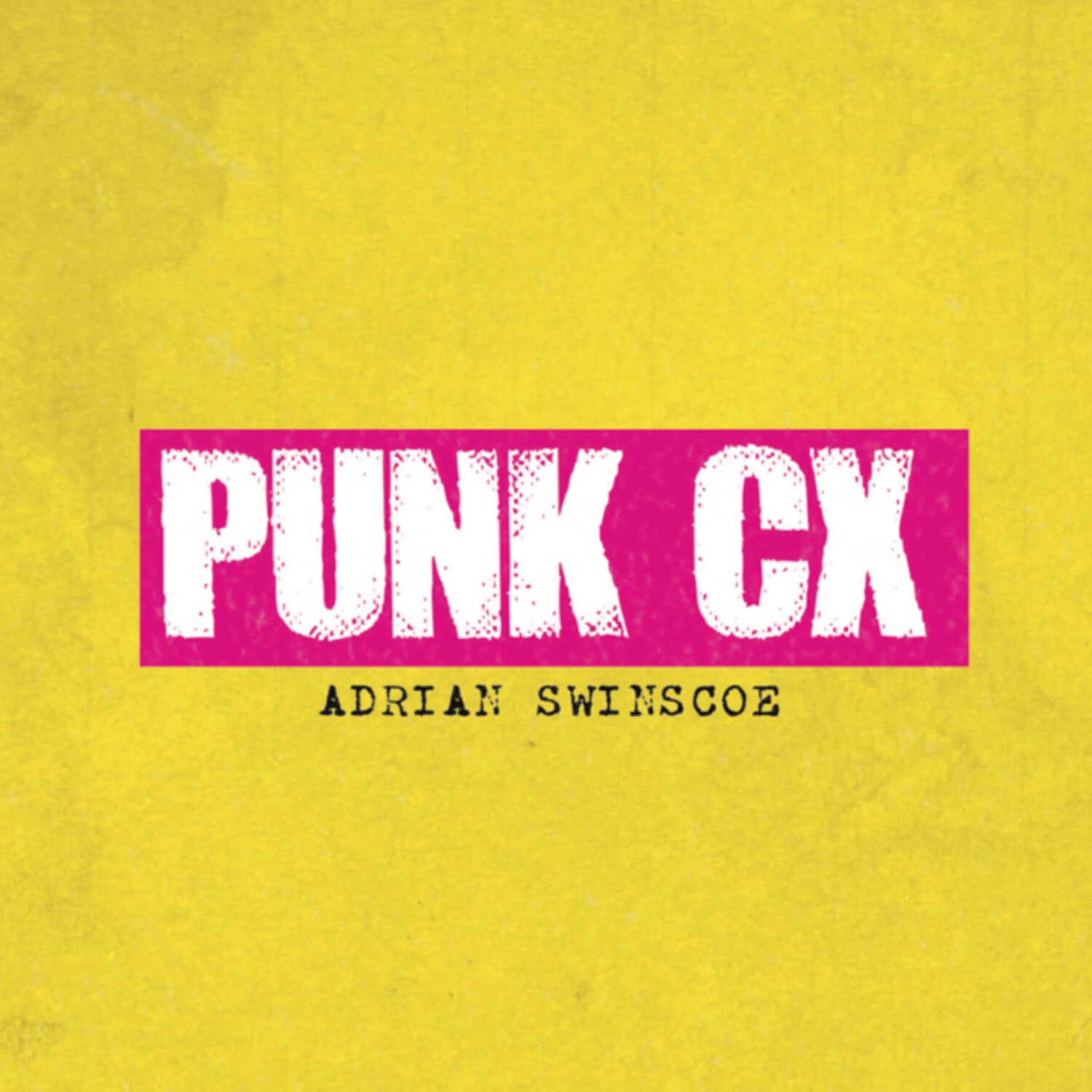 Punk CX: Customer Experience Insights with Adrian Swinscoe cover art