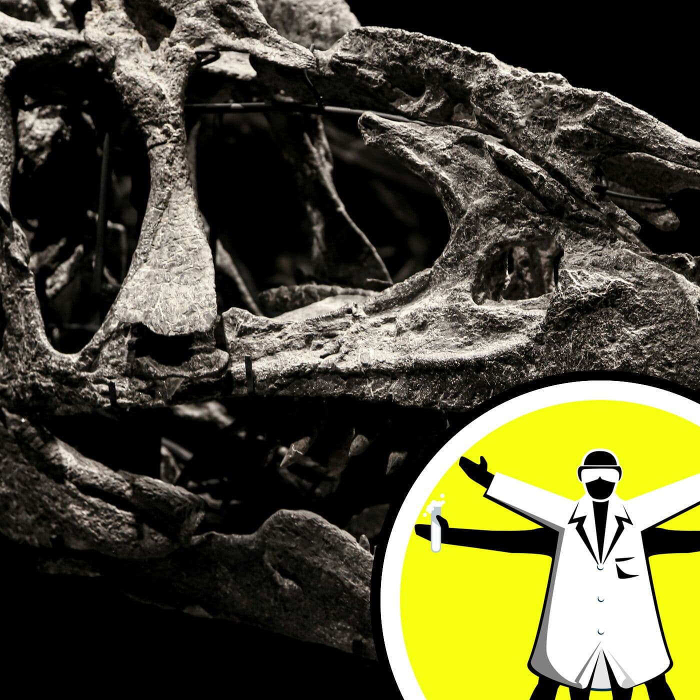 The Naked Scientists Podcast cover art